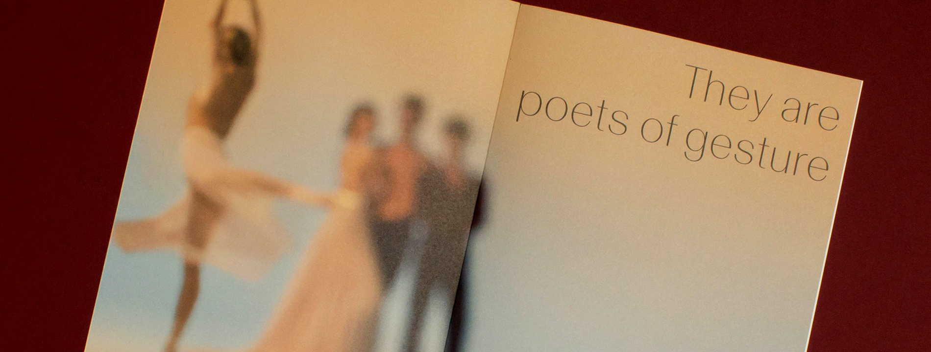 NY Ballet Header Image