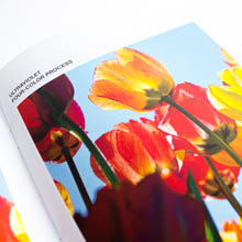 MOH_Website_PrintDictionary_OffsetPrinting(4Color).jpg